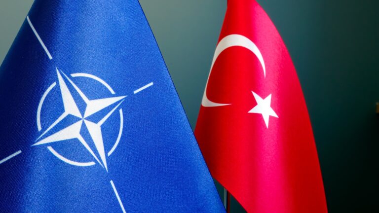 Read more about the article Turcia acuză mai multe țări NATO: „Vor să prelungească războiul din Ucraina. SUA are o anumită participare”
